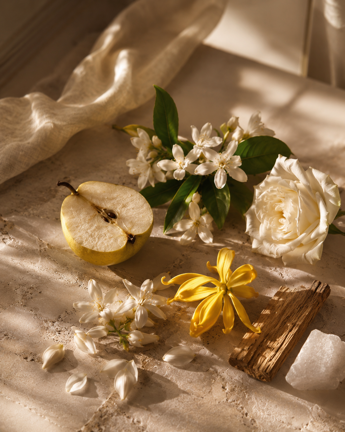 Body Oil